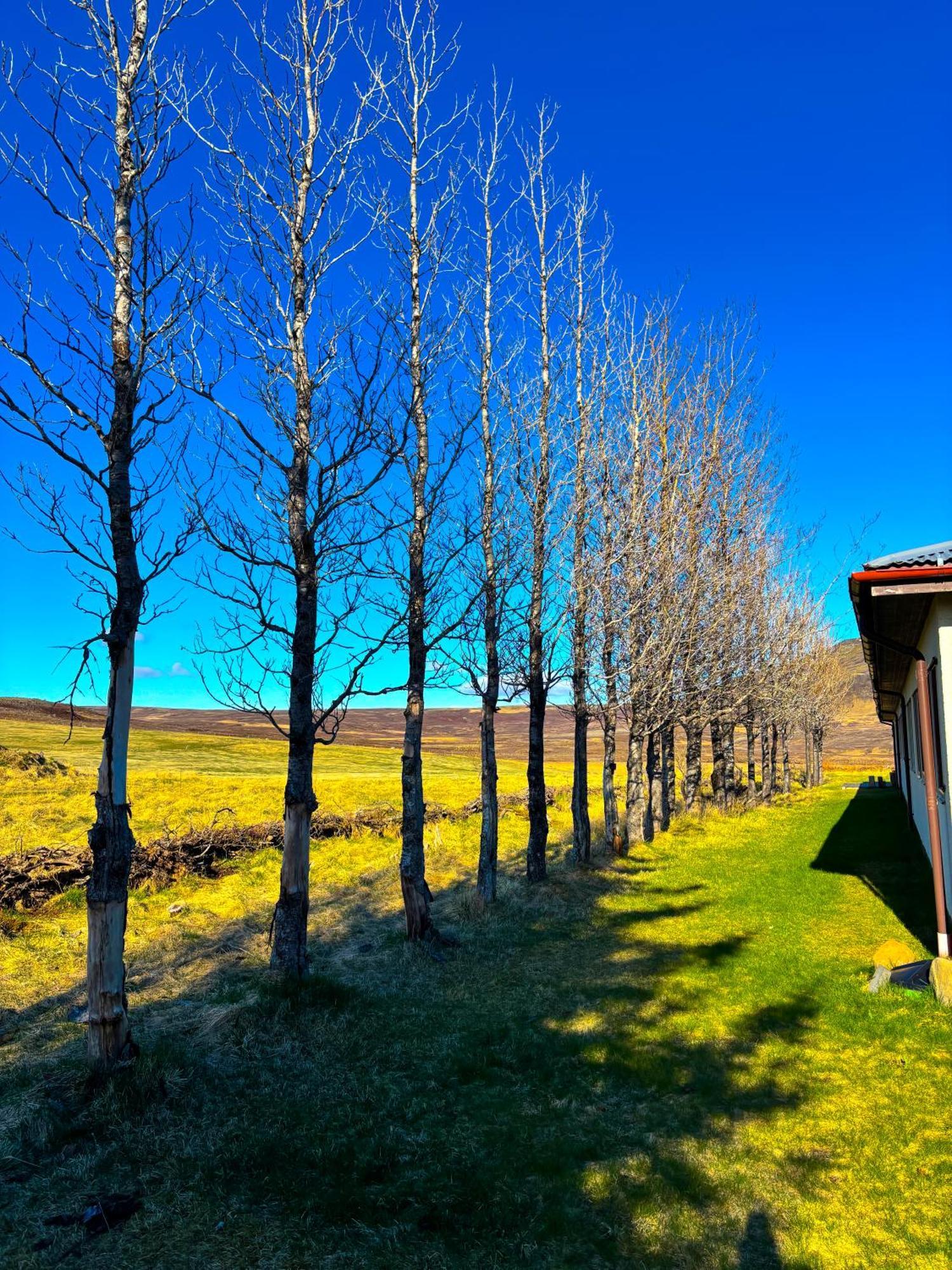 فندق Bru Country Estate سيلفوس المظهر الخارجي الصورة